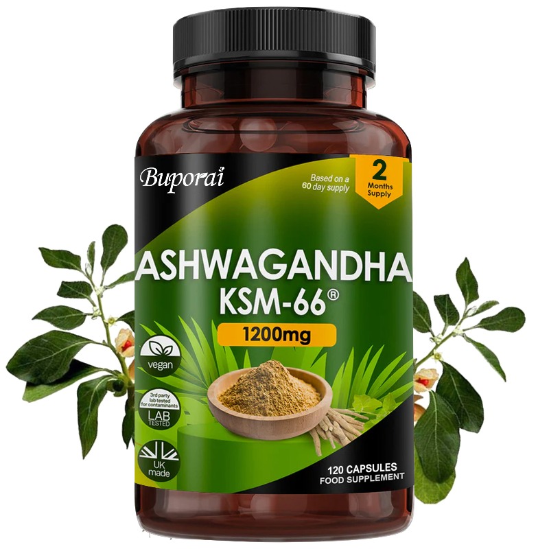 Ginkgo Biloba Extract - Organischer KSM-66 Ashwagandha-Wurzelextrakt zur Stressabbau –