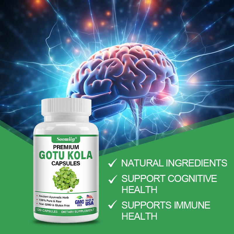 Gotu Kola Kapseln 1300mg - Gin – Ginkgo Biloba Extract Bewertung und Preis