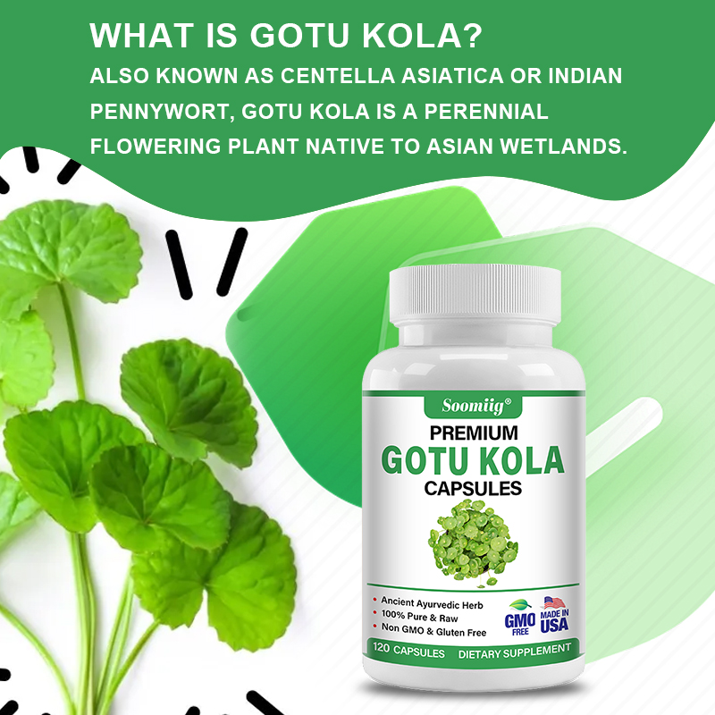 Gotu Kola Kapseln 1300mg - Gin – Ginkgo Biloba Extract Bewertung und Preis