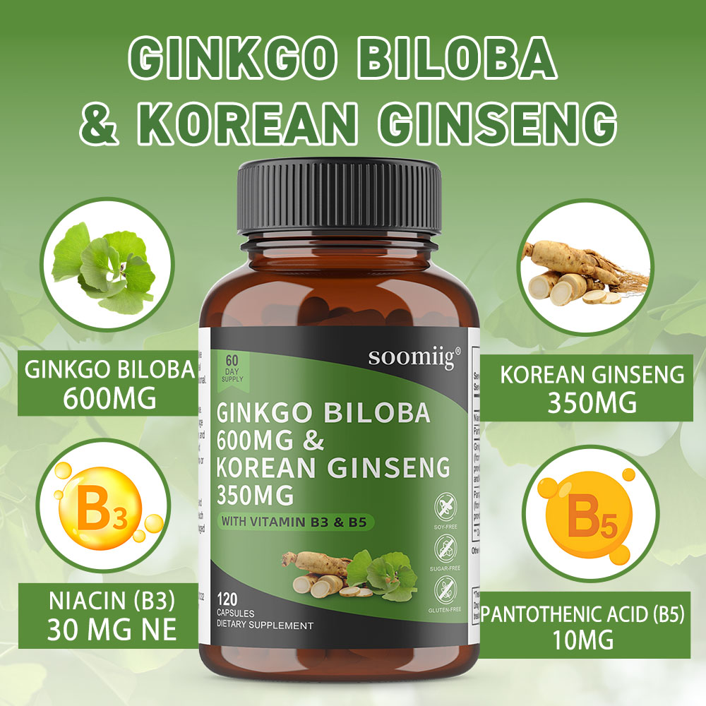 Ginkgo Biloba & Koreanischer G – Ginkgo Biloba Extract Bewertung und Preis