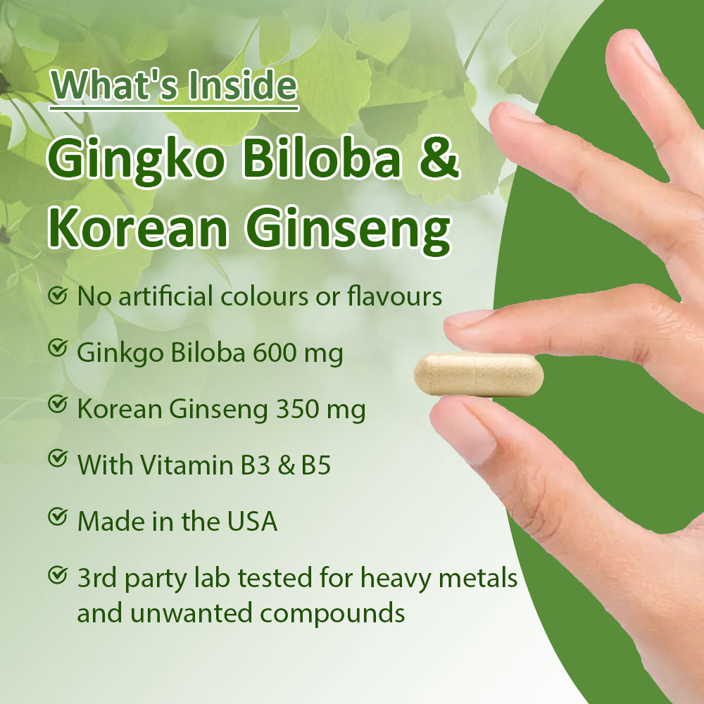 Ginkgo Biloba & Koreanischer G – Ginkgo Biloba Extract Bewertung und Preis