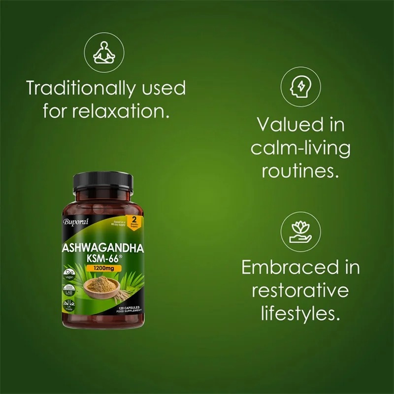 Organischer KSM-66 Ashwagandha – Ginkgo Biloba Extract Bewertung und Preis