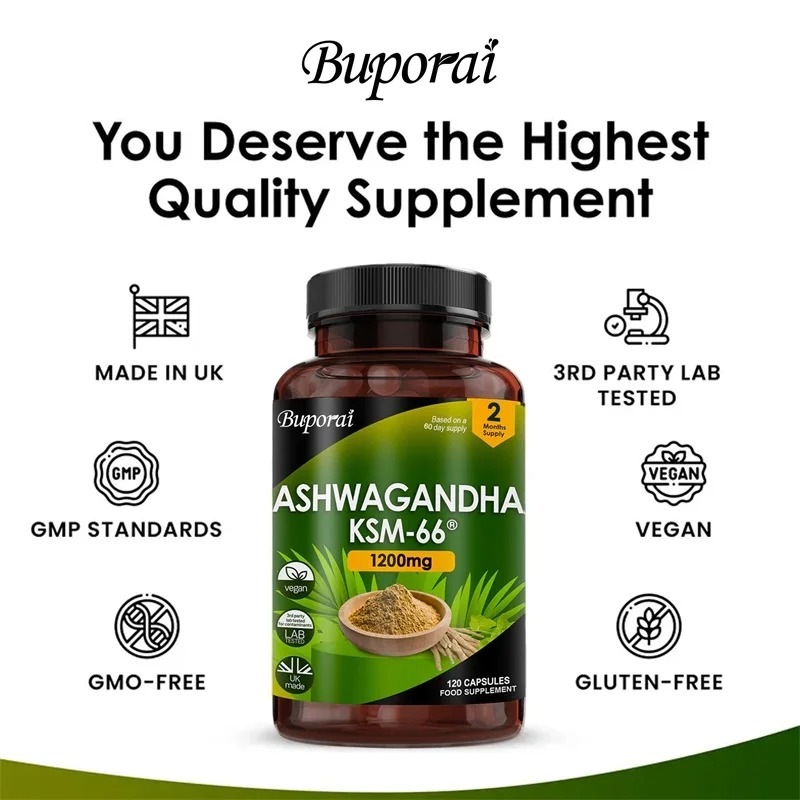 Organischer KSM-66 Ashwagandha – Ginkgo Biloba Extract Bewertung und Preis