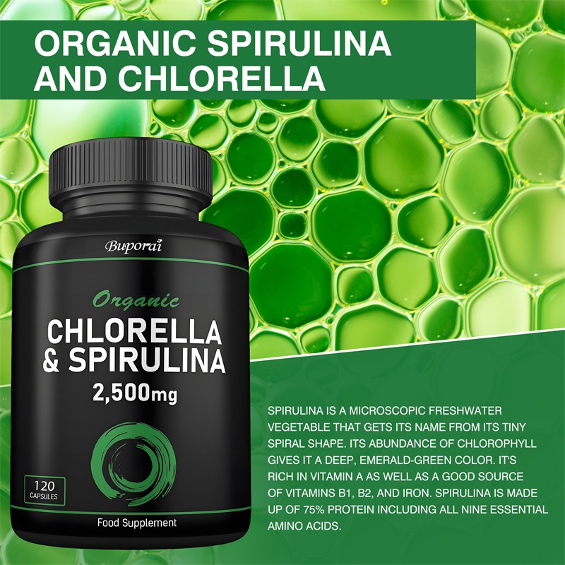 Bio-Chlorella und Spirulina 25 – Ginkgo Biloba Extract Bewertung und Preis